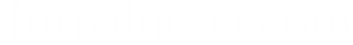 Jurnalnesia.com